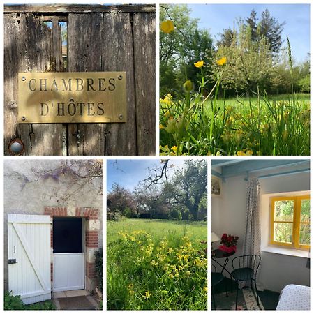 Chambres D'Hotes Les Renardieres Molineuf Esterno foto