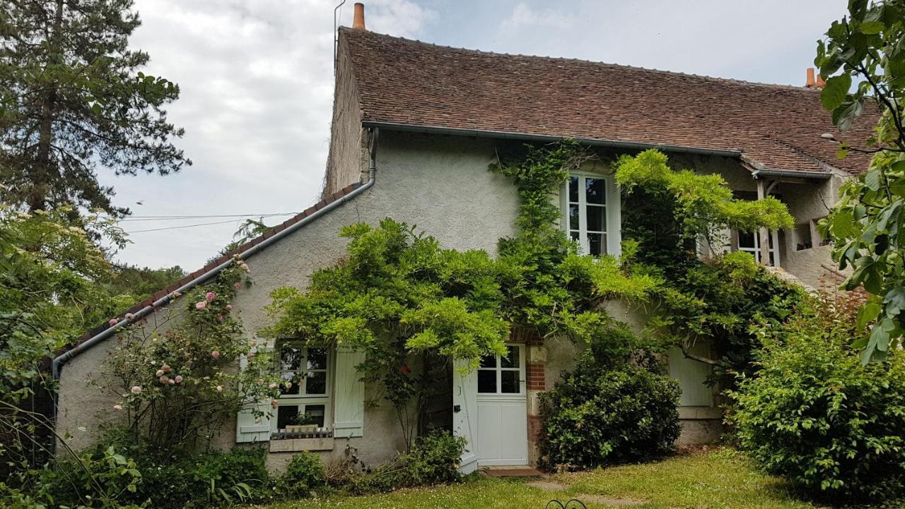 Chambres D'Hotes Les Renardieres Molineuf Esterno foto