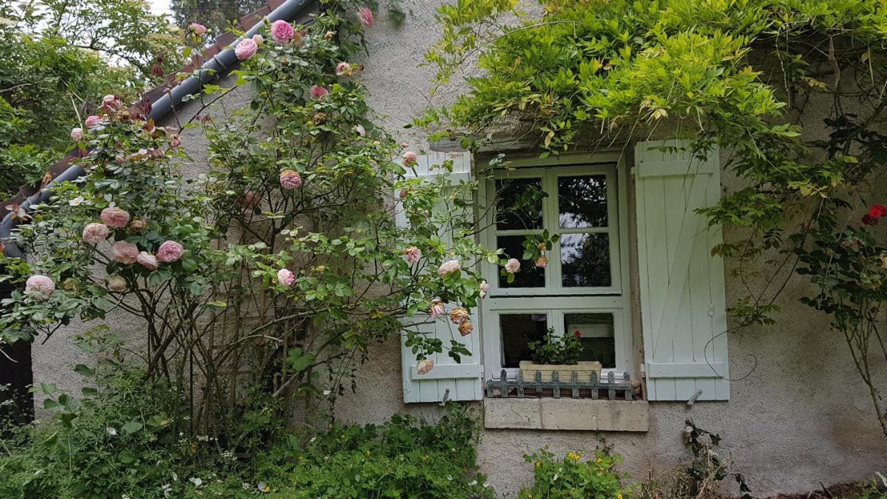 Chambres D'Hotes Les Renardieres Molineuf Esterno foto