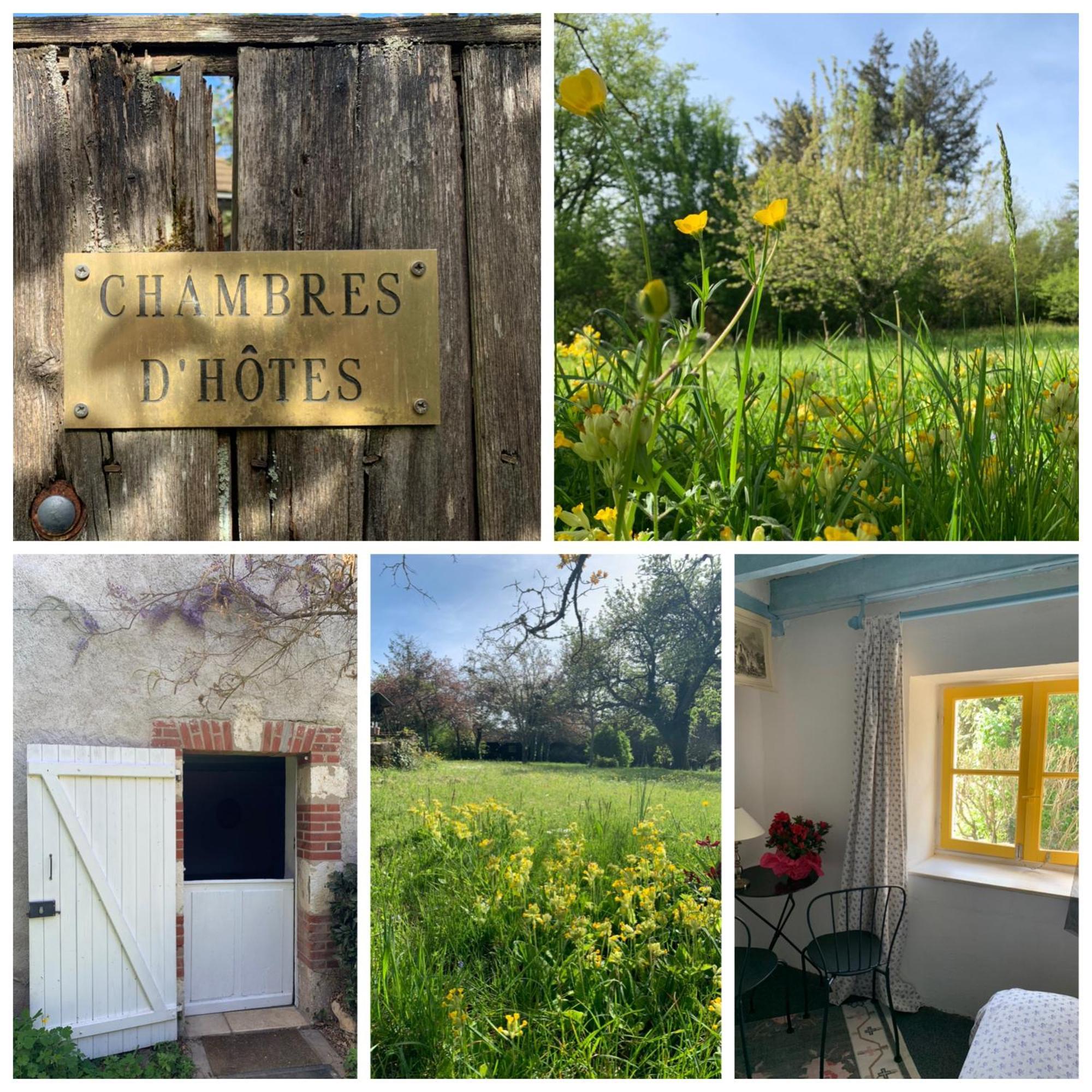 Chambres D'Hotes Les Renardieres Molineuf Esterno foto